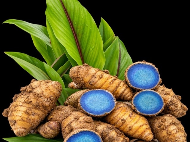 Himalayan Herbs
