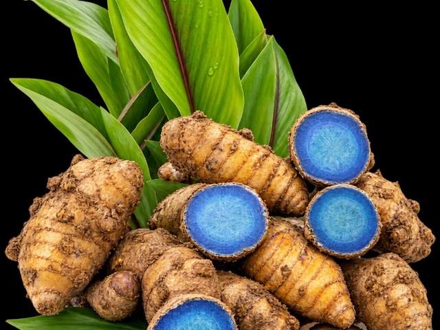 Black Turmeric